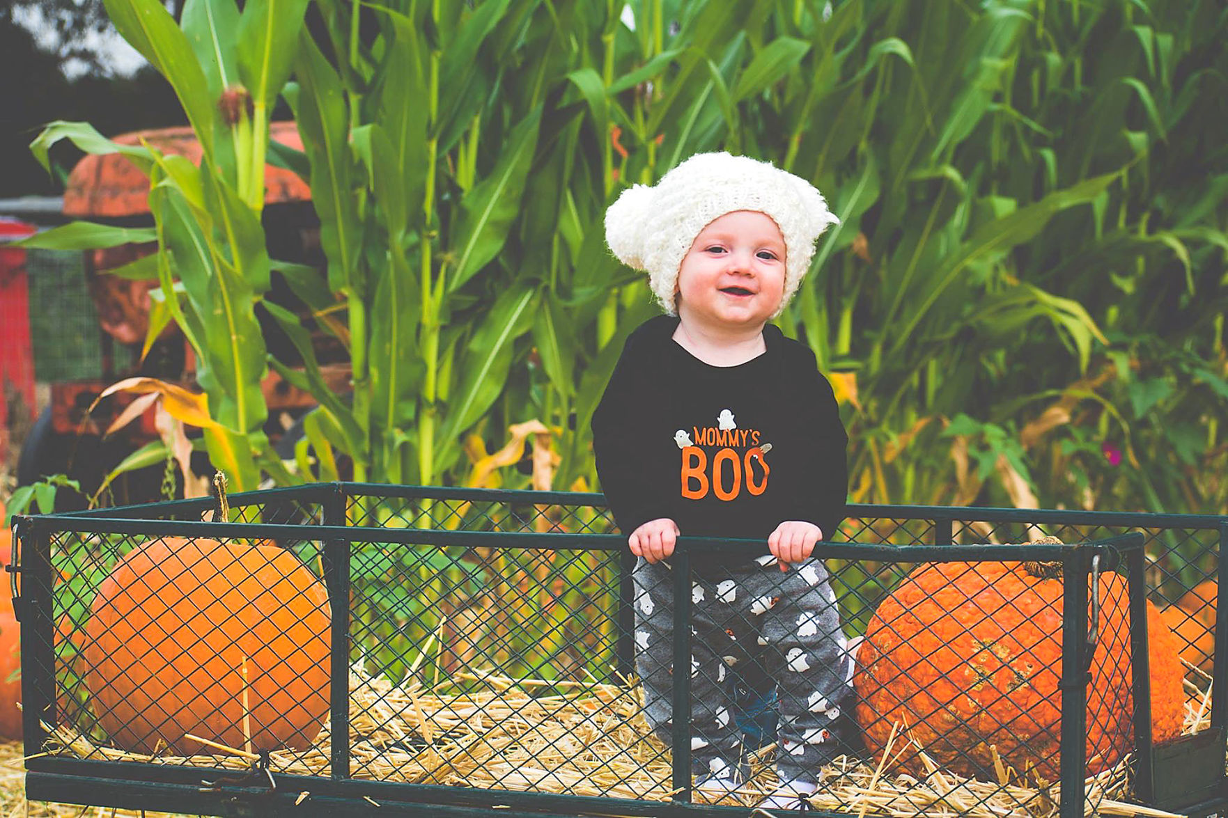 Pumpkin Patch